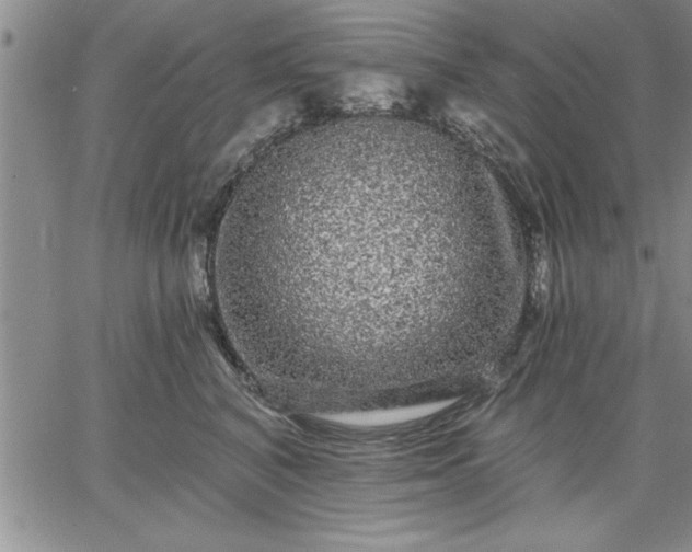 X0000064720616200602171618