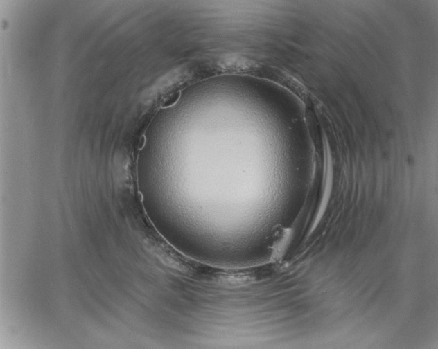 X0000064720619200602171618