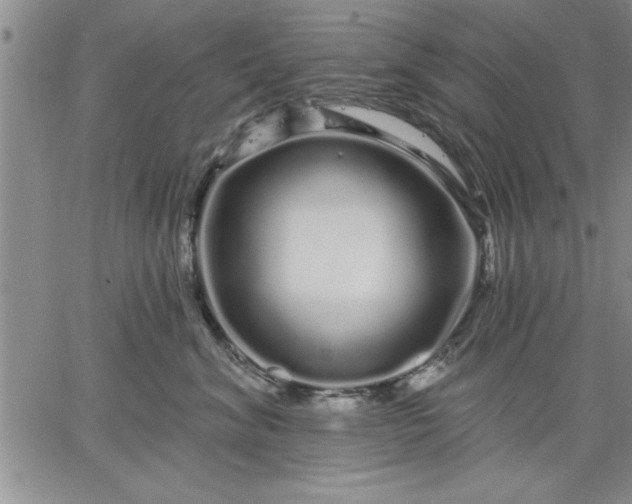 X0000064720620200602171618