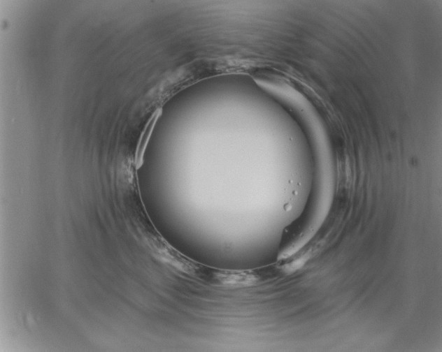 X0000064720621200602171618