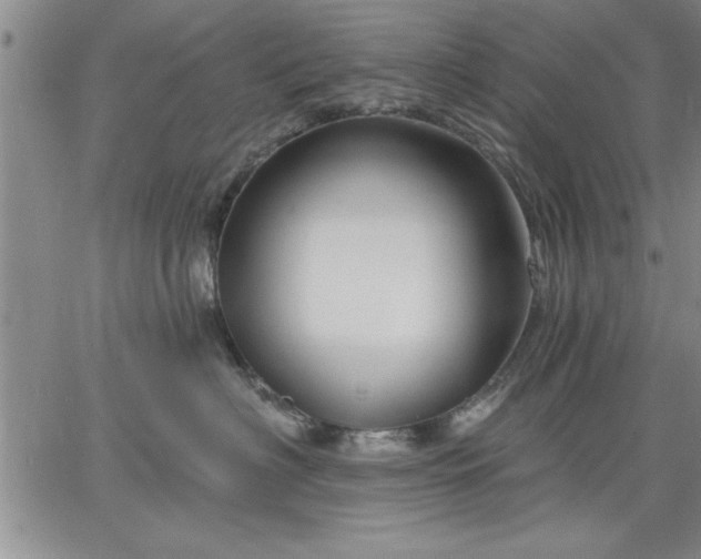 X0000064720622200602171618