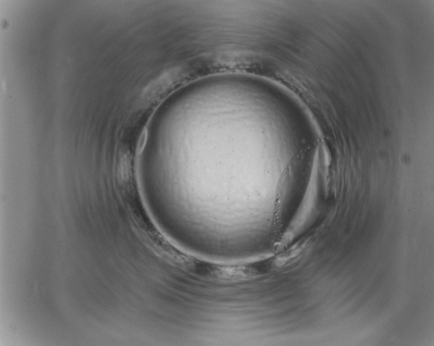 X0000064720623200602171618