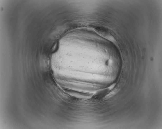 X0000064720624200602171618