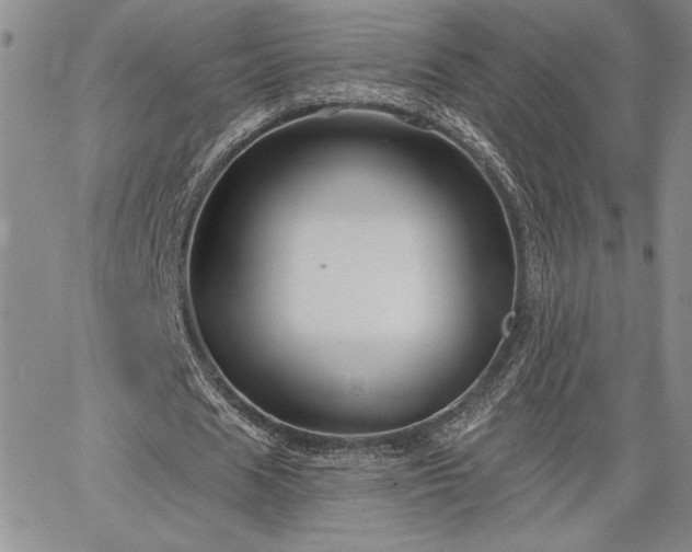 X0000064720625200602171617