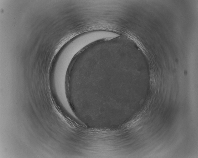 X0000064720626200602171617