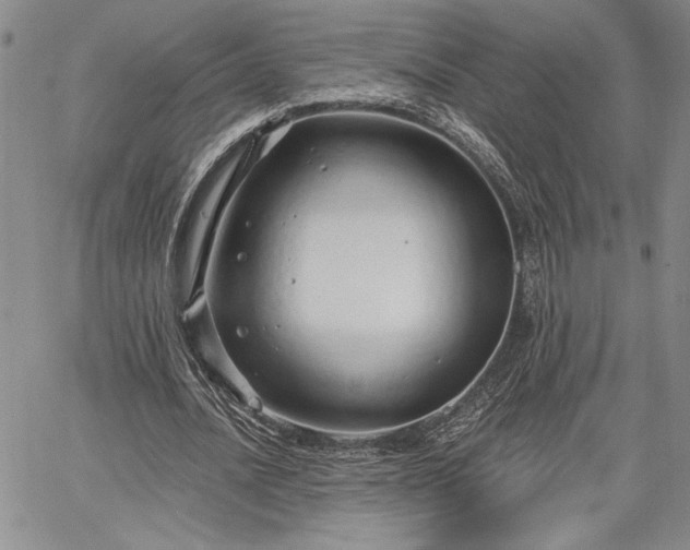 X0000064720628200602171617