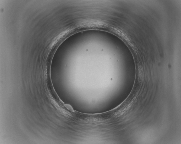 X0000064720629200602171617