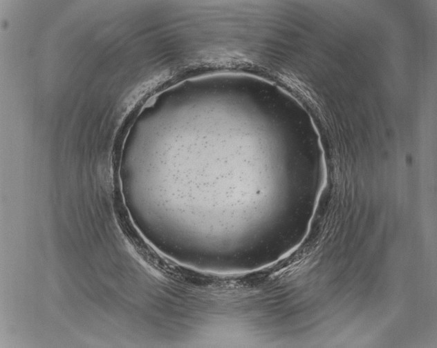 X0000064720630200602171617