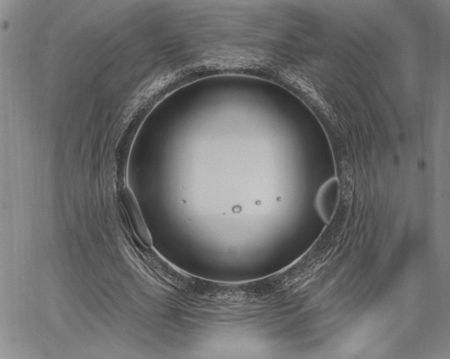 X0000064720631200602171617