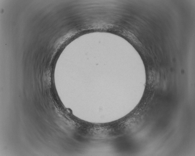 X0000064720632200602171617