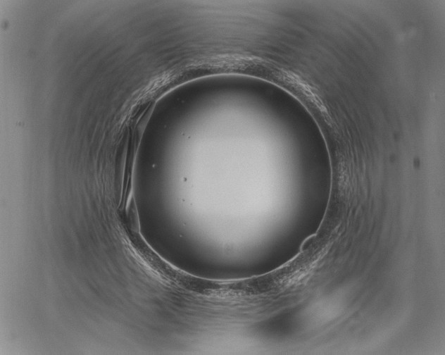 X0000064720633200602171617