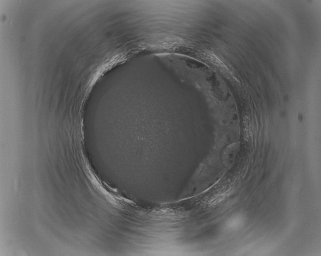 X0000064720634200602171617