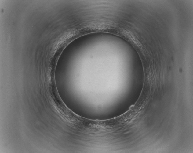 X0000064720635200602171617