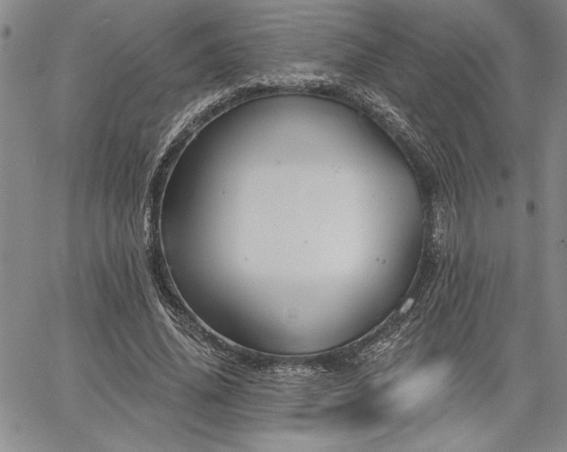 X0000064720636200602171617