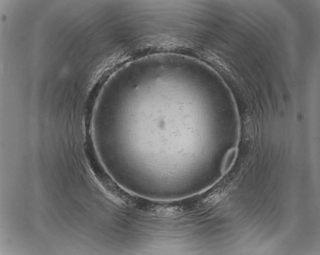 X0000064720638200602171617