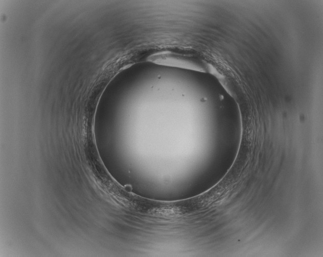 X0000064720639200602171617