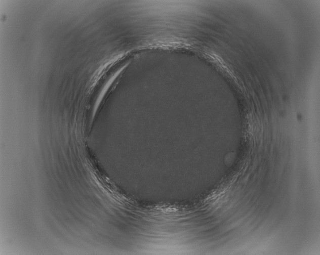 X0000064720640200602171617