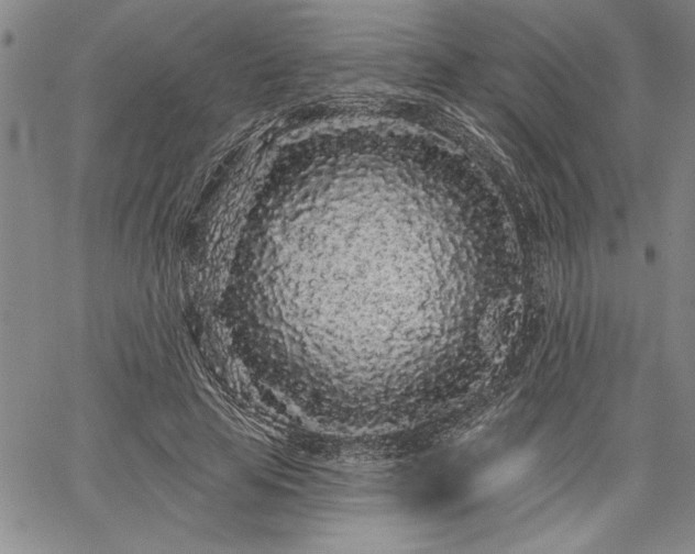 X0000064720641200602171617