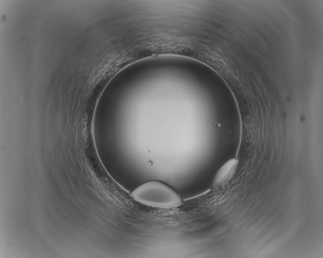 X0000064720642200602171617