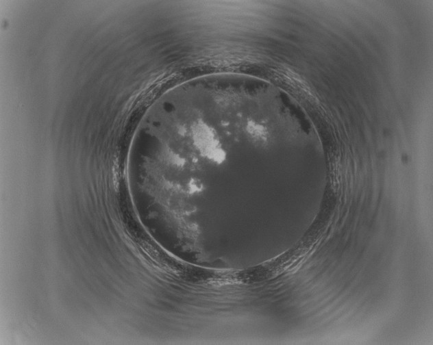 X0000064720644200602171617