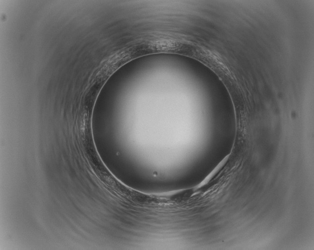 X0000064720645200602171617