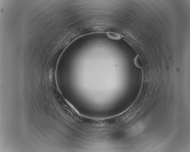 X0000064720646200602171617