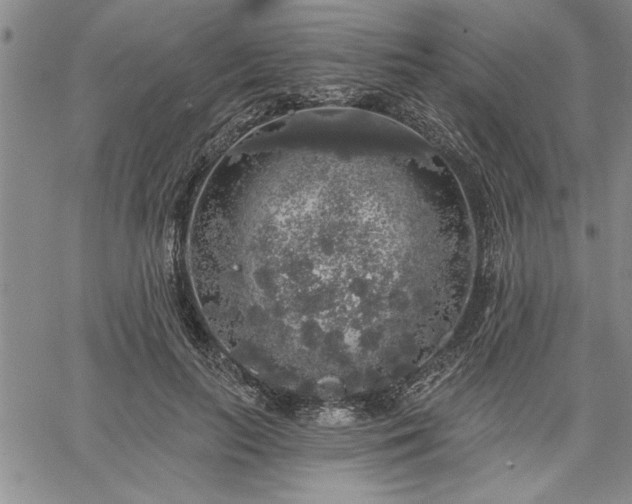 X0000064720647200602171617