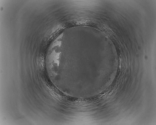 X0000064720648200602171617