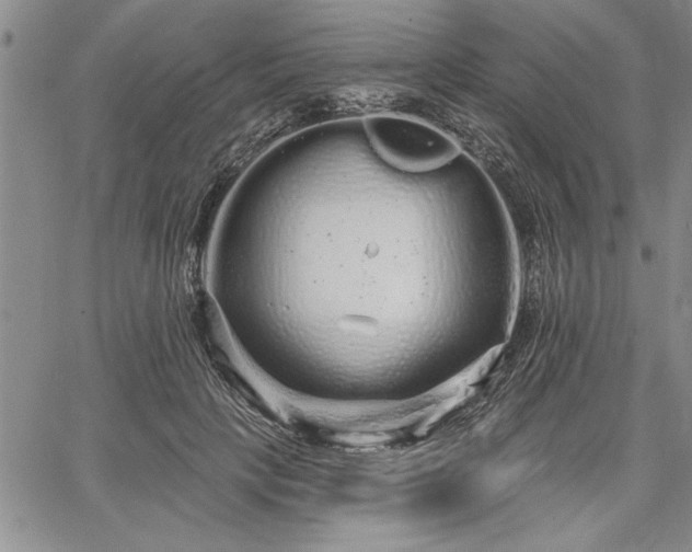 X0000064720649200602171617