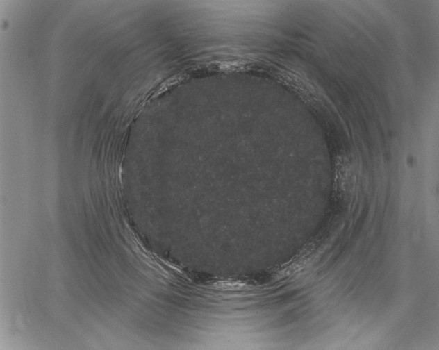 X0000064720650200602171617