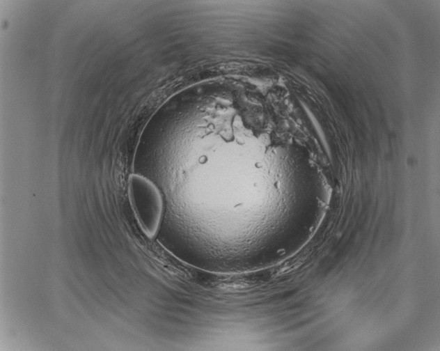 X0000064720653200602171617