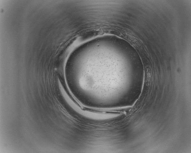 X0000064720654200602171617