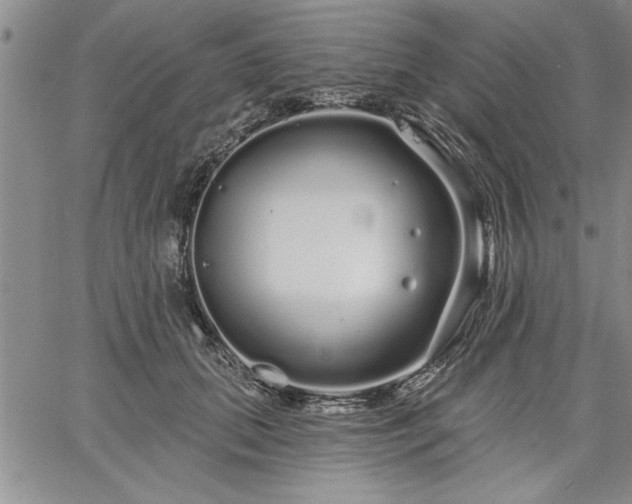 X0000064720655200602171617