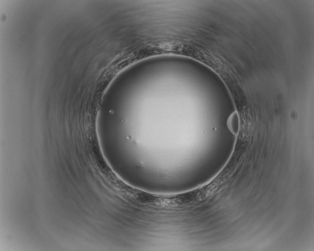 X0000064720656200602171617