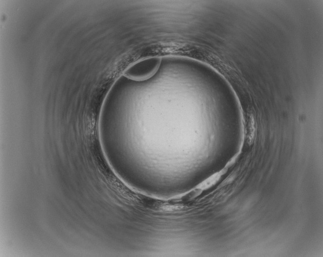 X0000064720657200602171617