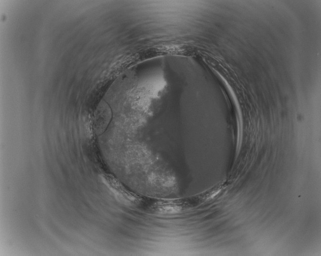 X0000064720658200602171617