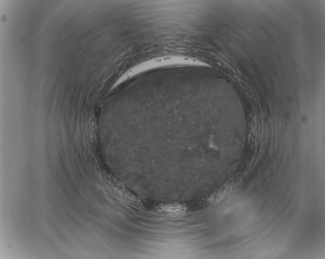 X0000064720659200602171617