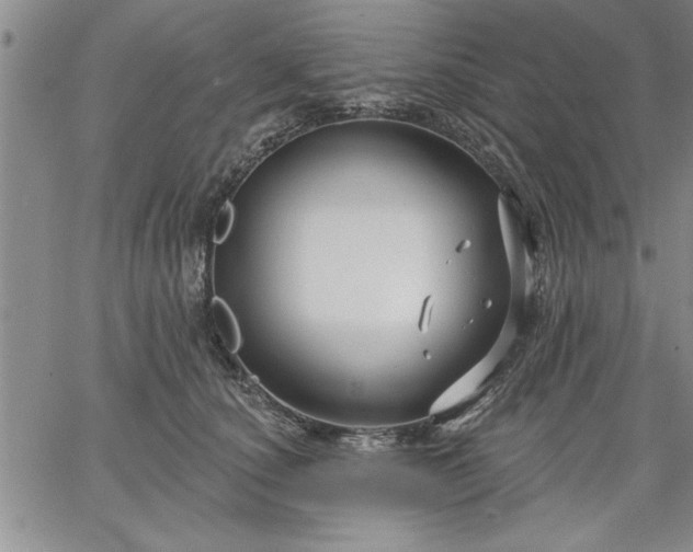 X0000064720660200602171617