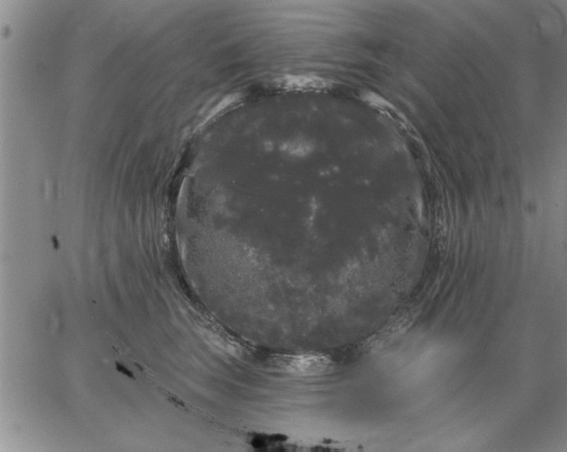 X0000064720663200602171617