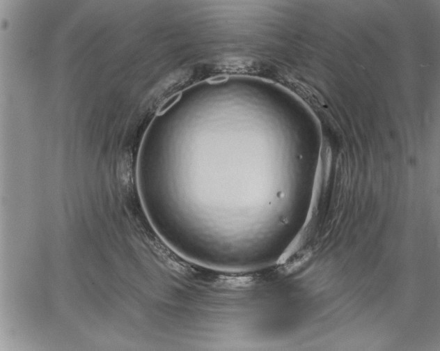 X0000064720665200602171617