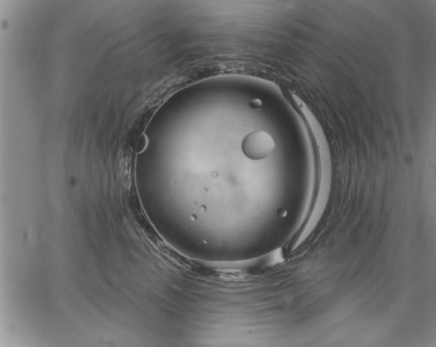 X0000064720666200602171617