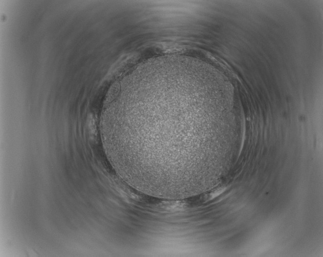 X0000064720667200602171618