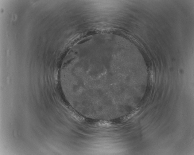 X0000064720668200602171618