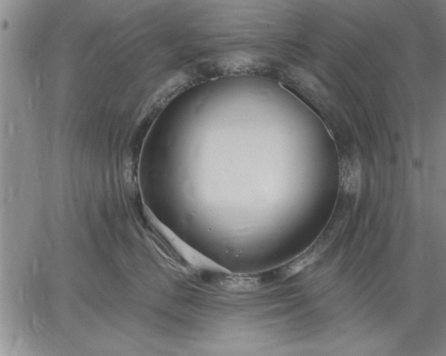 X0000064720670200602171618