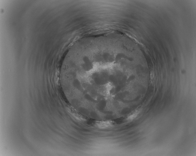 X0000064720671200602171618