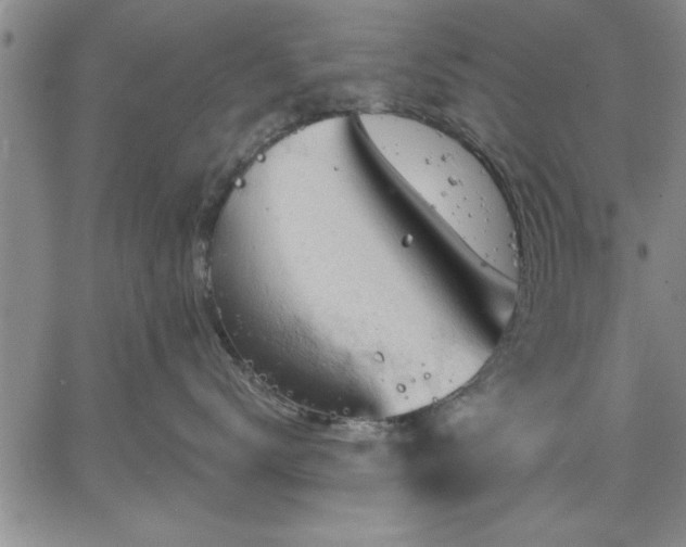 X0000064720672200602171618