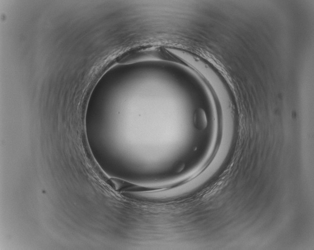 X0000064720673200602171617