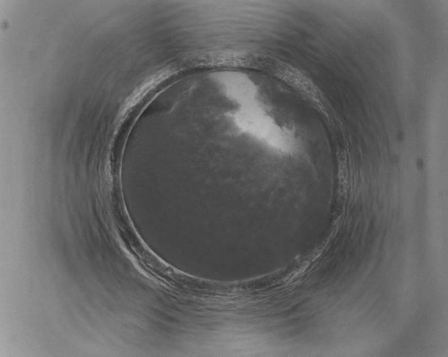 X0000064720674200602171617