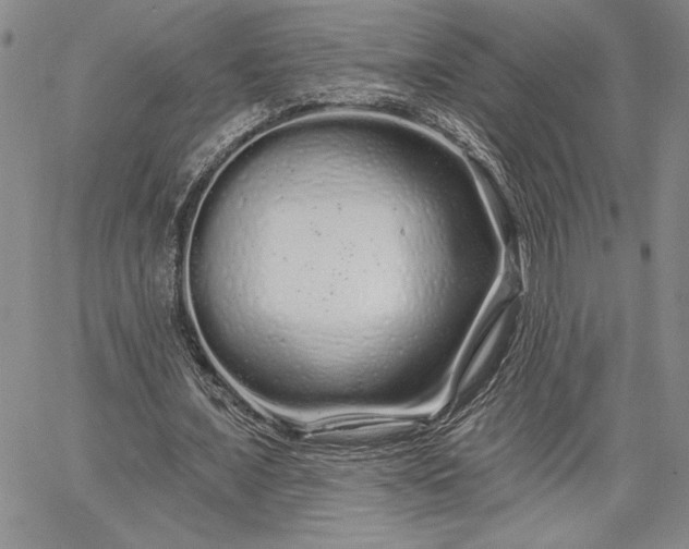 X0000064720675200602171617