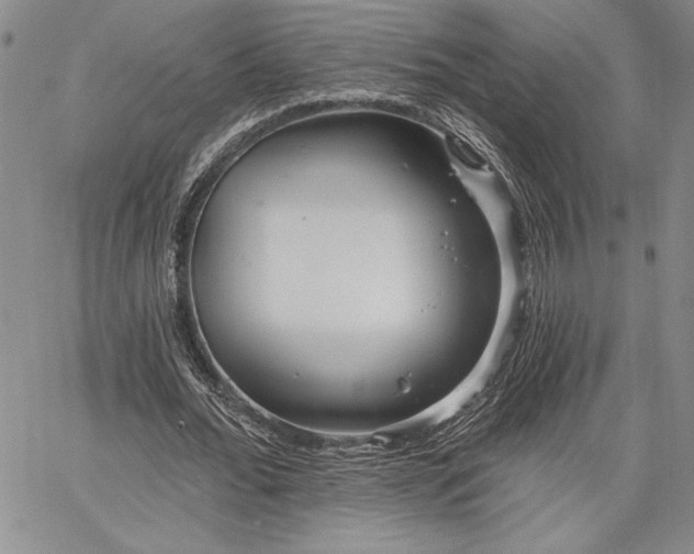 X0000064720676200602171617